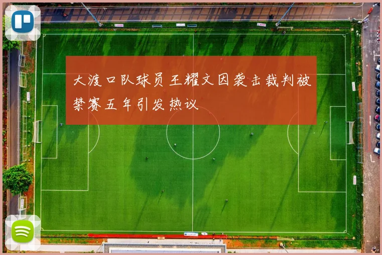 大渡口队球员王耀文因袭击裁判被禁赛五年引发热议